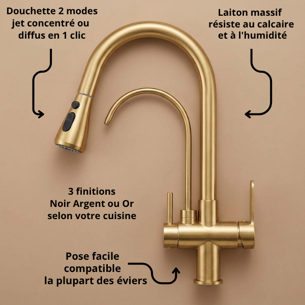 Robinet Cuisine | Gojo
